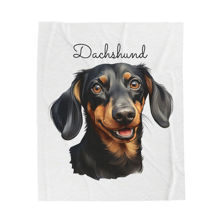Dachshund Velveteen Plush Blanket with White Background - 3 Sizes available cozy throw dog lover - Smooth Dachshund