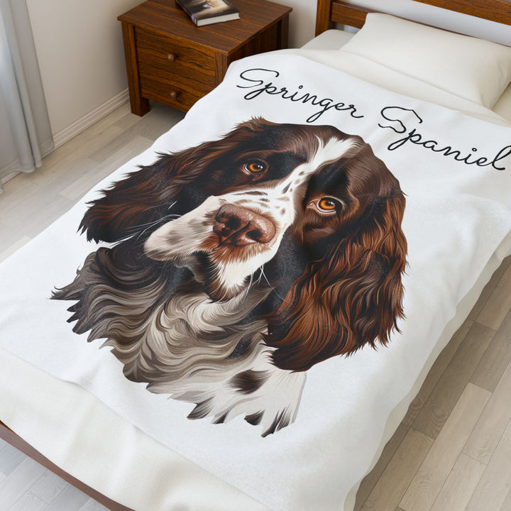 Springer Spaniel Velveteen Plush Blanket with White Background - 3 Sizes available cozy throw dog lover - Pet mom gift