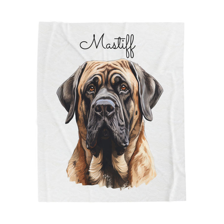English Mastiff Velveteen Plush Blanket with White Background - 3 Sizes available cozy throw dog lover - Pet mom gift