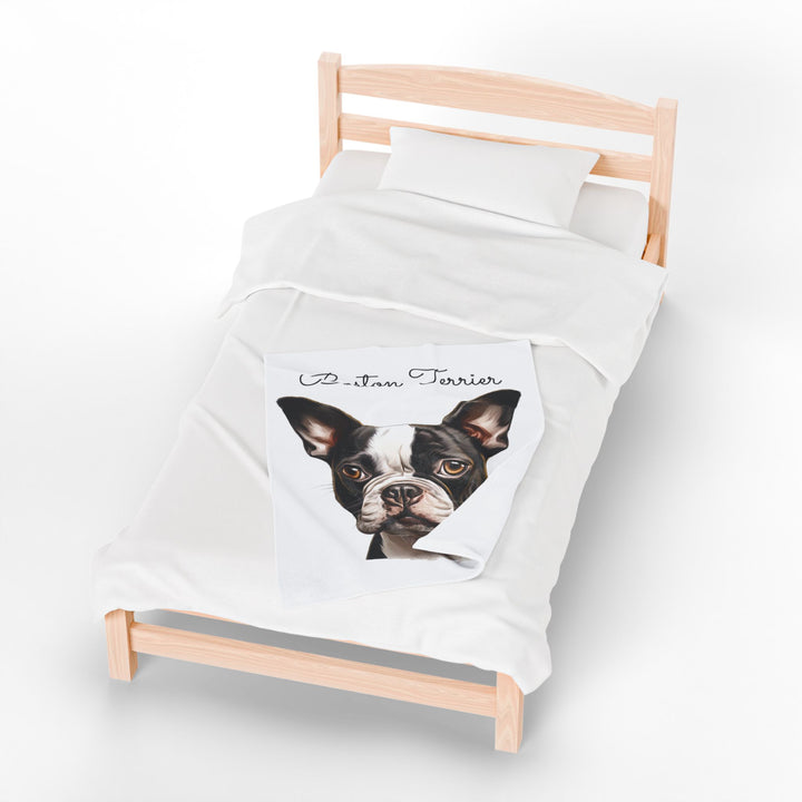 Boston Terrier Velveteen Plush Blanket with White Background - 3 Sizes available cozy throw dog lover - Pet mom gift