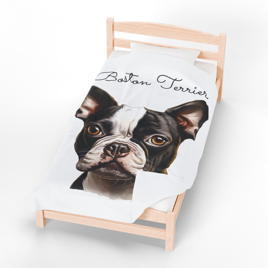 Boston Terrier Velveteen Plush Blanket with White Background - 3 Sizes available cozy throw dog lover - Pet mom gift