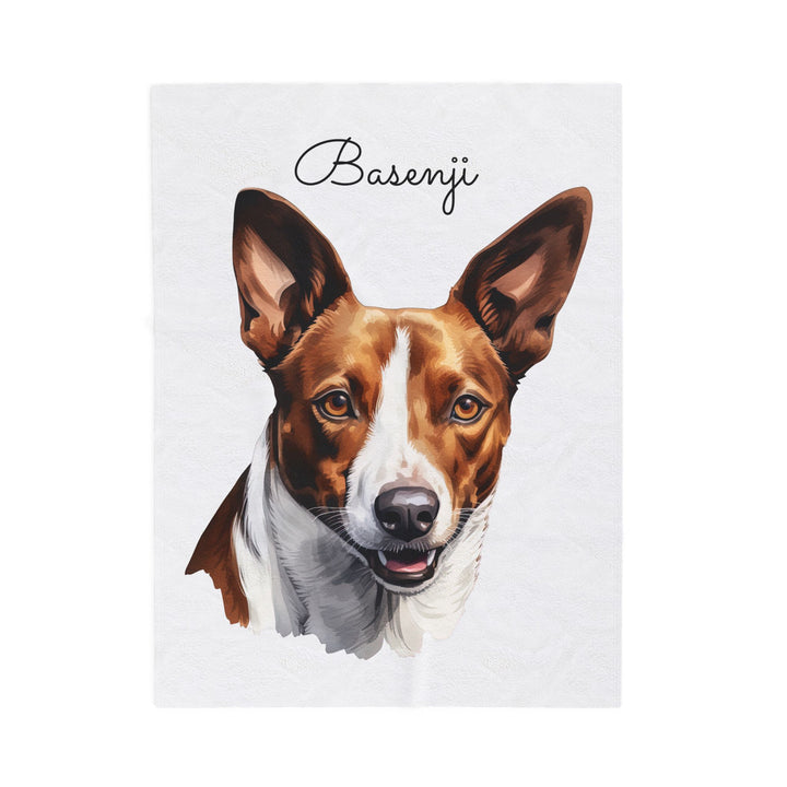 Basenji Velveteen Plush Blanket White Background - 3 Sizes available cozy throw dog lover