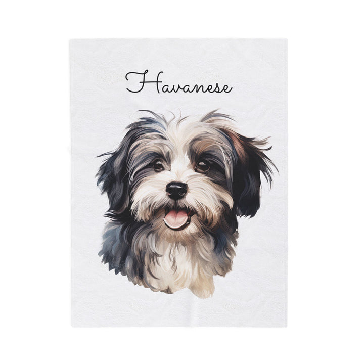 Black and White Havanese Dog Velveteen Plush Blanket | Cozy Throw - Embellish by Jackie - Handmade Greeting Cards