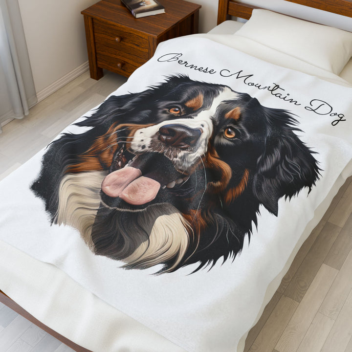 Bernese Mountain Dog Velveteen Plush Blanket with White Background - 3 Sizes available cozy throw dog lover - Pet mom gift