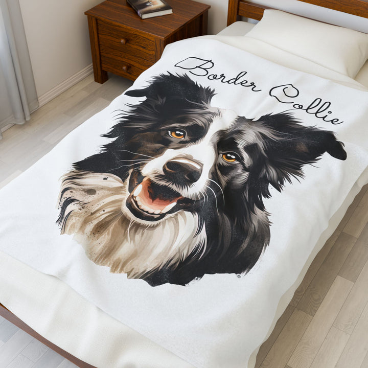 Border Collie Velveteen Plush Blanket with White Background - 3 Sizes available cozy throw dog lover - Pet mom gift