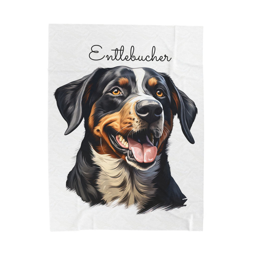 Entlebucher Mountain Dog Velveteen Plush Blanket with White Background - 3 Sizes available cozy throw dog lover - Pet mom gift
