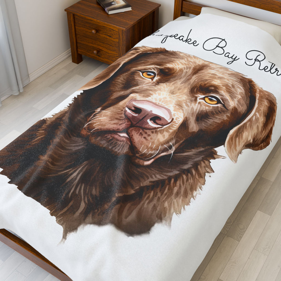 Chesapeake Bay Retriever Velveteen Plush Blanket with White Background - 3 Sizes available cozy throw dog lover - Pet mom gift