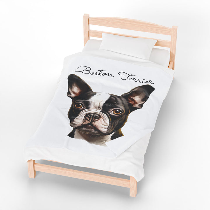Boston Terrier Velveteen Plush Blanket with White Background - 3 Sizes available cozy throw dog lover - Pet mom gift