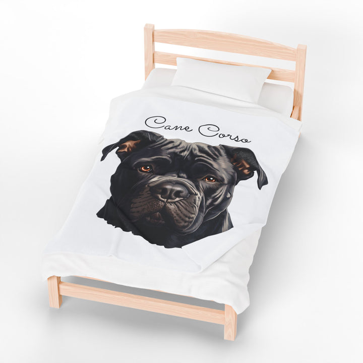 Cane Corso Velveteen Plush Blanket with White Background - 3 Sizes available cozy throw dog lover - Pet mom gift
