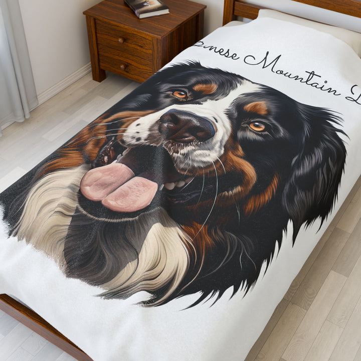 Bernese Mountain Dog Velveteen Plush Blanket with White Background - 3 Sizes available cozy throw dog lover - Pet mom gift