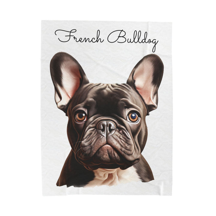 French Bulldog Velveteen Plush Blanket with White Background - 3 Sizes available cozy throw dog lover - Pet mom gift