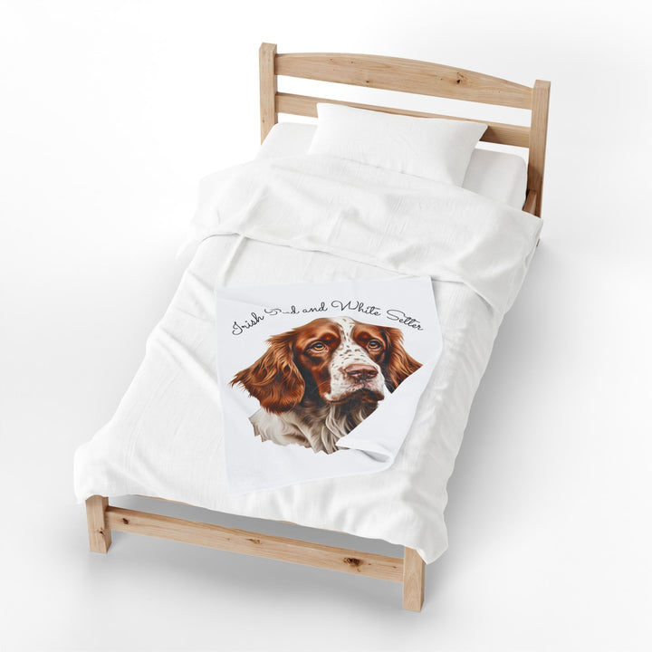 Irish Red and White Setter Portrait Velveteen Plush Blanket