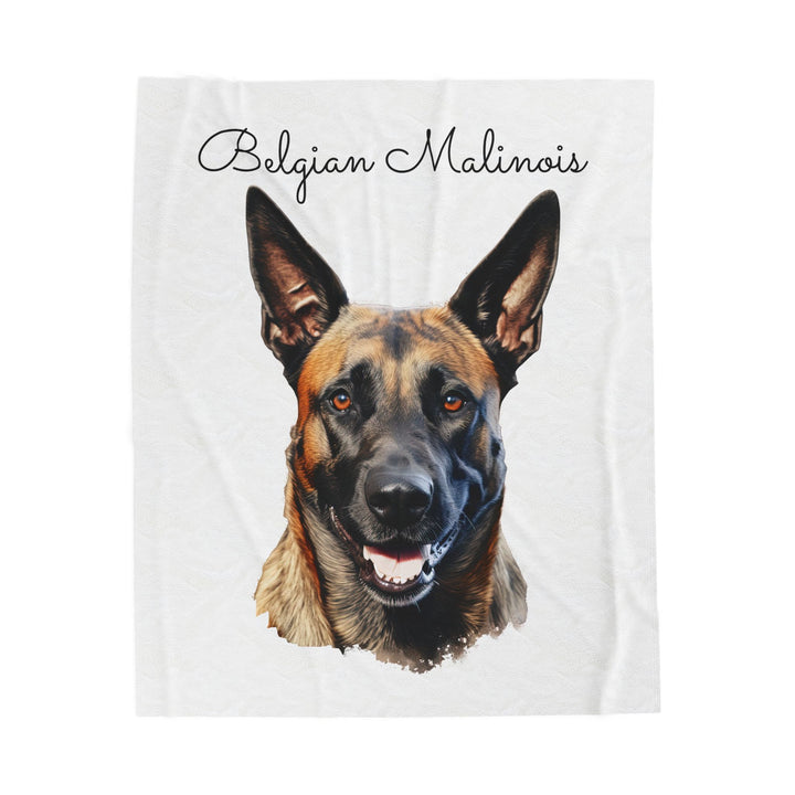 Belgian Malinois Velveteen Plush Blanket with White Background - 3 Sizes available cozy throw dog lover - Pet mom gift