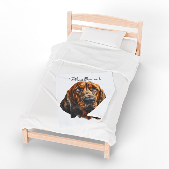 Bloodhound Velveteen Plush Blanket with White Background - 3 Sizes available cozy throw dog lover - Pet mom gift