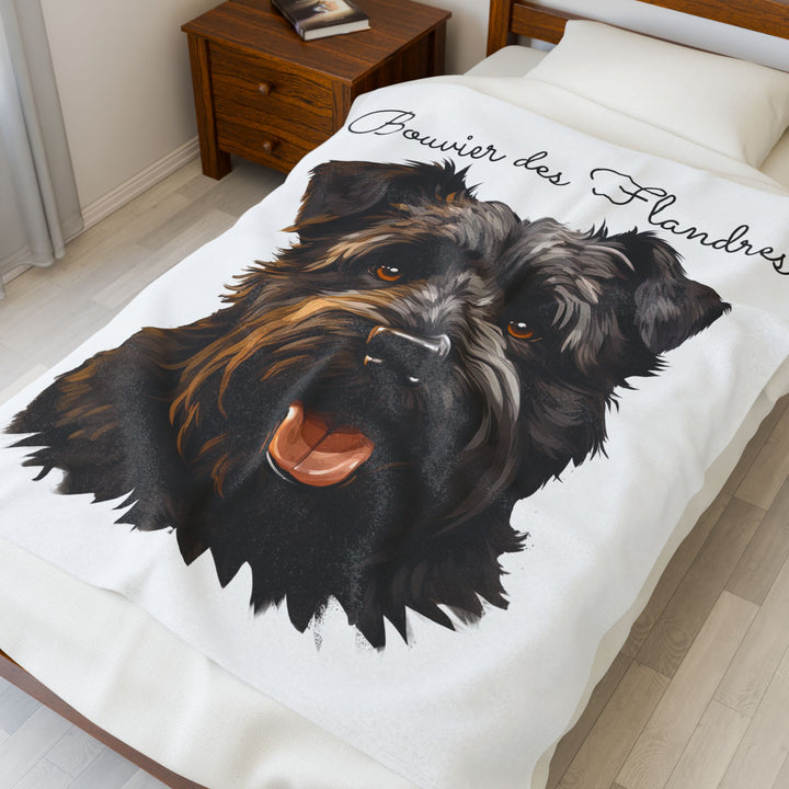 Bouvier des Flandres Velveteen Plush Blanket with White Background - 3 Sizes available cozy throw dog lover - Pet mom gift