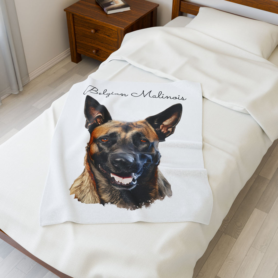 Belgian Malinois Velveteen Plush Blanket with White Background - 3 Sizes available cozy throw dog lover - Pet mom gift