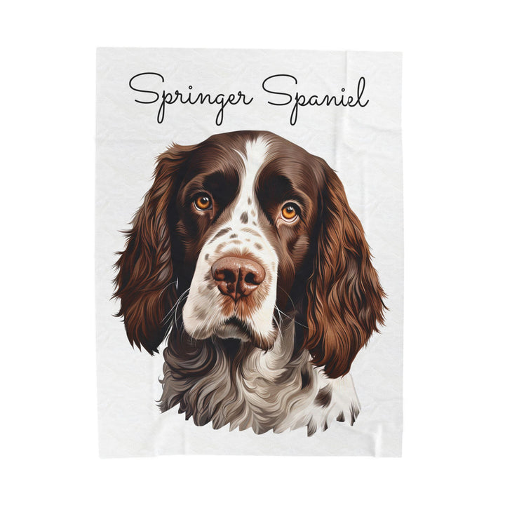 Springer Spaniel Velveteen Plush Blanket with White Background - 3 Sizes available cozy throw dog lover - Pet mom gift