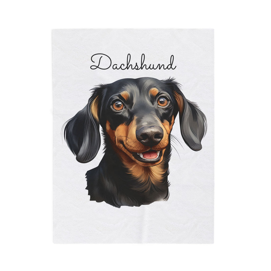 Dachshund Velveteen Plush Blanket with White Background - 3 Sizes available cozy throw dog lover - Smooth Dachshund