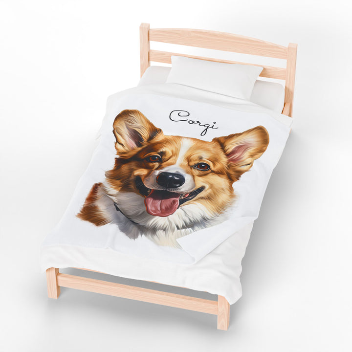Corgi Velveteen Plush Blanket with White Background - 3 Sizes available cozy throw dog lover - Pet mom gift - Pembroke Welsh Corgi