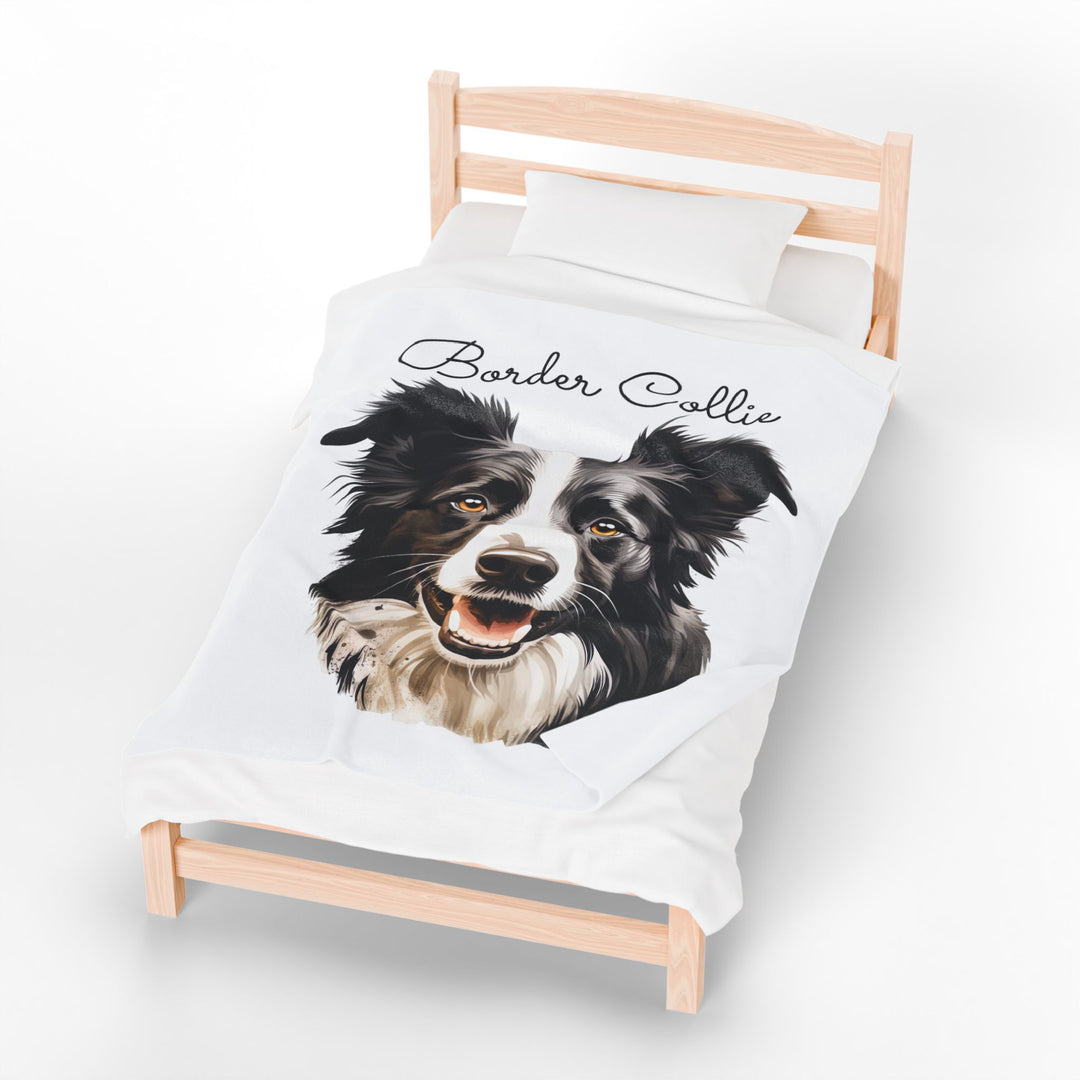 Border Collie Velveteen Plush Blanket with White Background - 3 Sizes available cozy throw dog lover - Pet mom gift