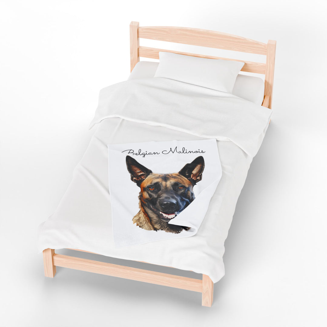 Belgian Malinois Velveteen Plush Blanket with White Background - 3 Sizes available cozy throw dog lover - Pet mom gift