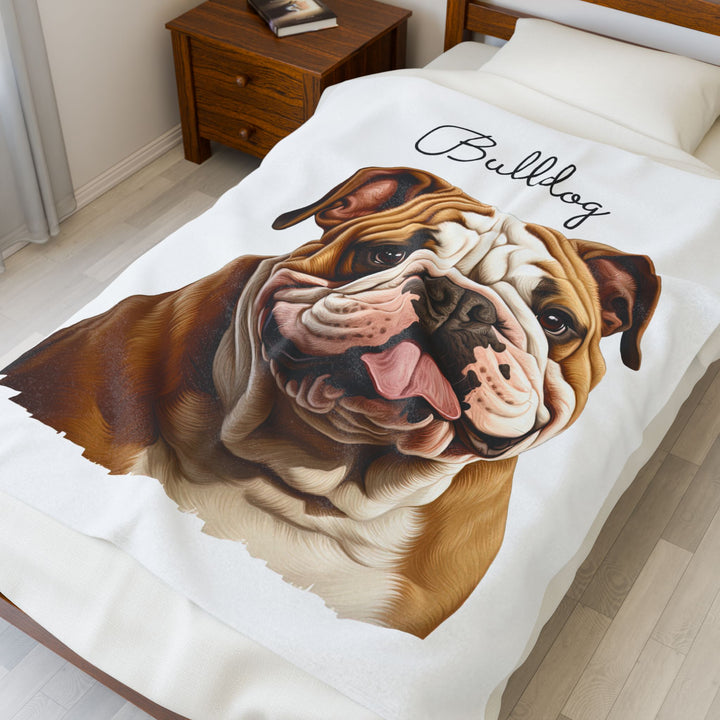 Bulldog Velveteen Plush Blanket with White Background - 3 Sizes available cozy throw dog lover - Pet mom gift