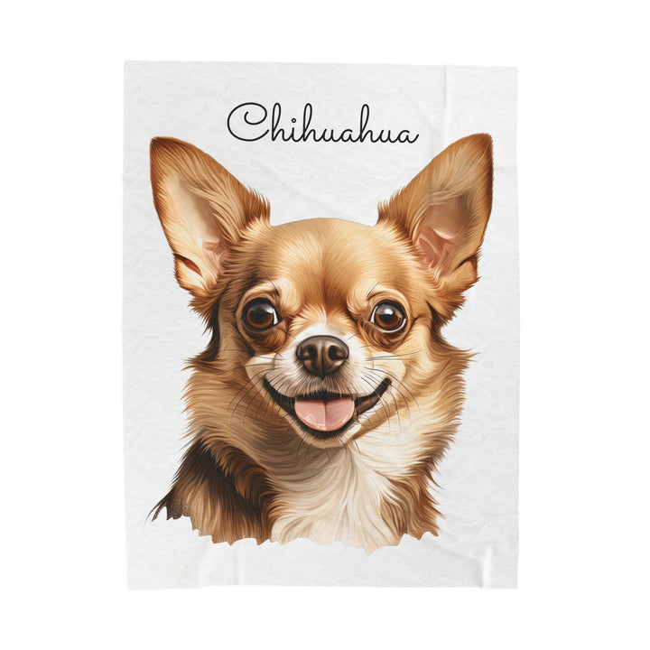 Chihuahua Velveteen Plush Blanket with White Background - 3 Sizes available cozy throw dog lover - Fawn Gold Smooth Coat Chihuahua