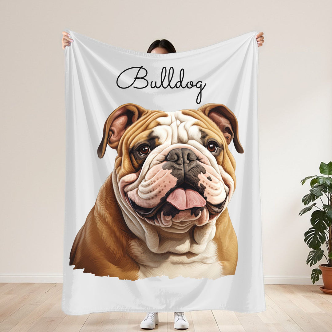 Bulldog Velveteen Plush Blanket with White Background - 3 Sizes available cozy throw dog lover - Pet mom gift